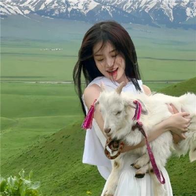 牧师神探 第八季